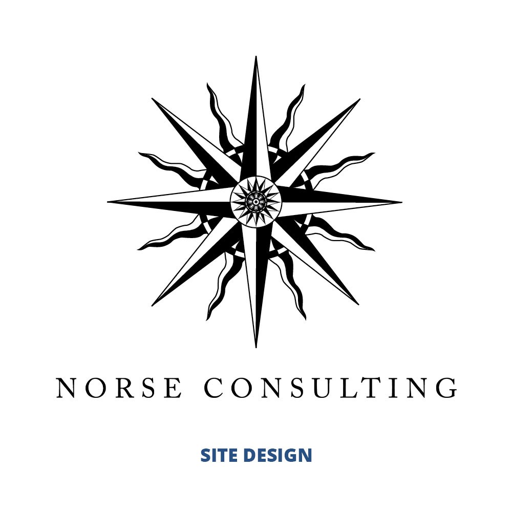 NORSE CONSULTING